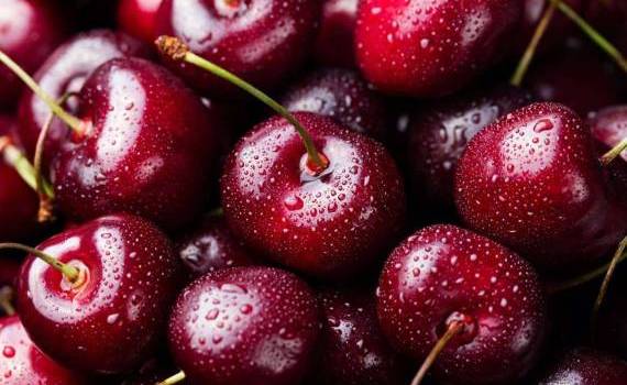 Топ-15 самых вкусных и прибыльных сортов черешни для разных регионов - agroexpert.md