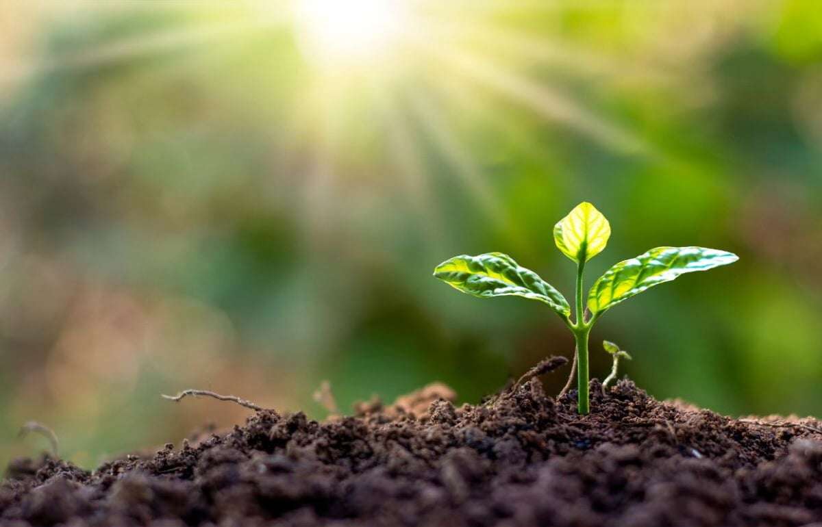 Агропрактики, используемые в Украине в условиях изменения климата - agroexpert.md