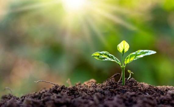 Агропрактики, используемые в Украине в условиях изменения климата - agroexpert.md