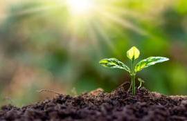 Агропрактики, используемые в Украине в условиях изменения климата - agroexpert.md