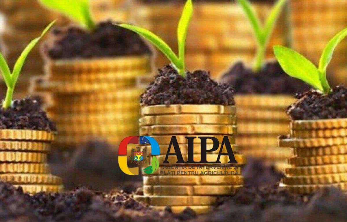 AIPA одобрила выплаты аграриям на 53,5 млн леев за прошлую неделю - agroexpert.md
