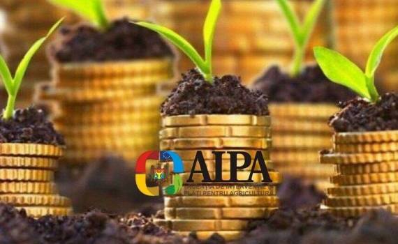 AIPA одобрила выплаты аграриям на 53,5 млн леев за прошлую неделю - agroexpert.md