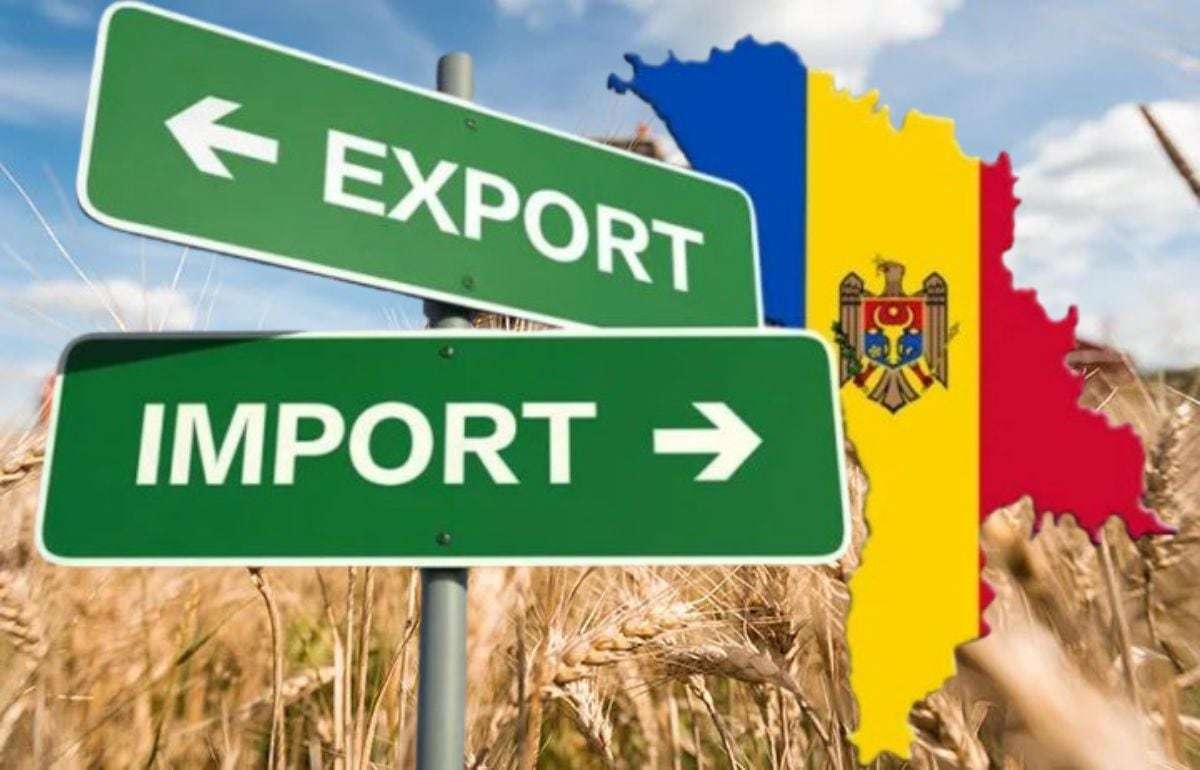 Экспорт агропромышленной продукции Молдовы: тенденции мая 2025 года - agroexpert.md