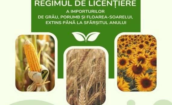 Власти продлили лицензирование импорта зерновых до конца 2025 года - agroexpert.md