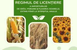 Власти продлили лицензирование импорта зерновых до конца 2025 года - agroexpert.md
