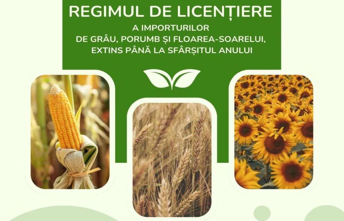 Власти продлили лицензирование импорта зерновых до конца 2025 года - agroexpert.md