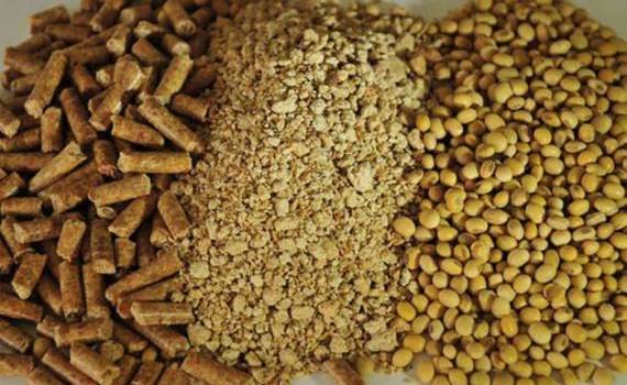 Мировой импорт соевого шрота снижается впервые за 16 месяцев - agroexpert.md
