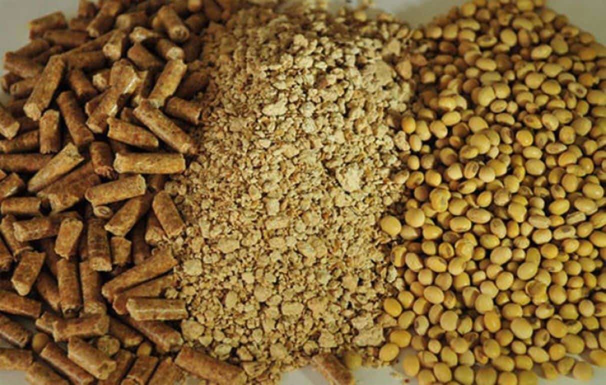 Мировой импорт соевого шрота снижается впервые за 16 месяцев - agroexpert.md