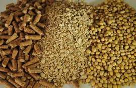 Мировой импорт соевого шрота снижается впервые за 16 месяцев - agroexpert.md