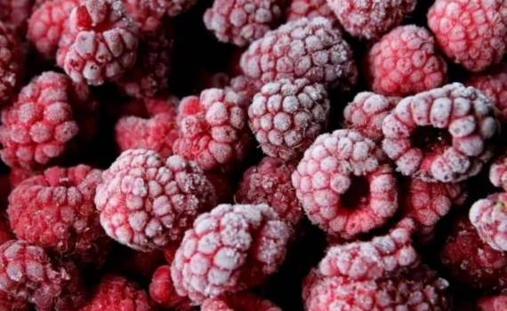 Сезон заготовки малины для заморозки: количество и качество невысокие - agroexpert.md