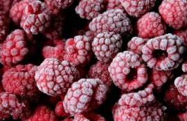 Сезон заготовки малины для заморозки: количество и качество невысокие - agroexpert.md