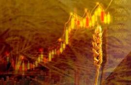 Пшеничные котировки на биржах за неделю упали на 5,4-9% - agroexpert.md