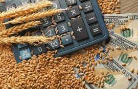 Prețurile la cereale și oleaginoase la debutul sezonului 2025/2026 în RM