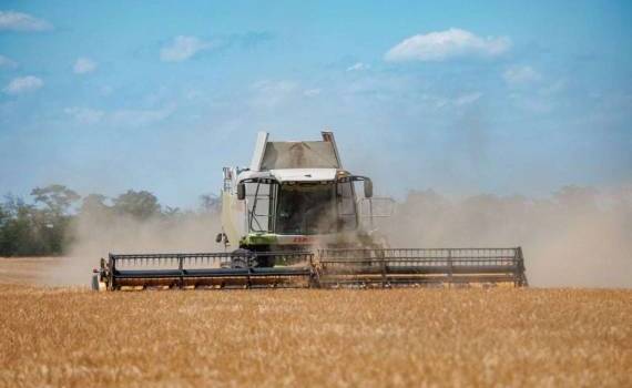 В Приднестровье сообщили о начале уборочной кампании - agrotxpert.md