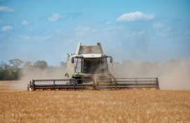 В Приднестровье сообщили о начале уборочной кампании - agrotxpert.md