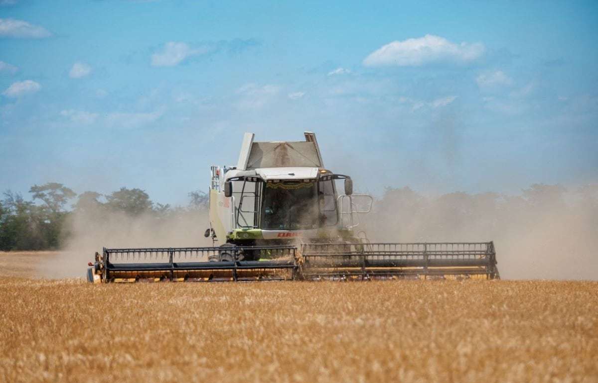 В Приднестровье сообщили о начале уборочной кампании - agrotxpert.md