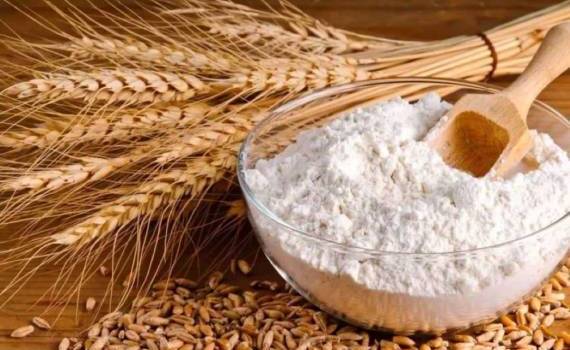 Новый мукомольный комплекс на севере Молдовы изменит рынок переработки - agroexpert.md 