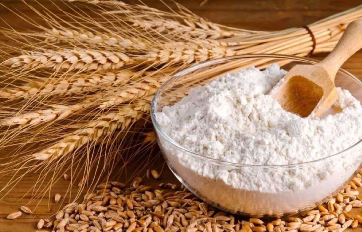 Новый мукомольный комплекс на севере Молдовы изменит рынок переработки - agroexpert.md