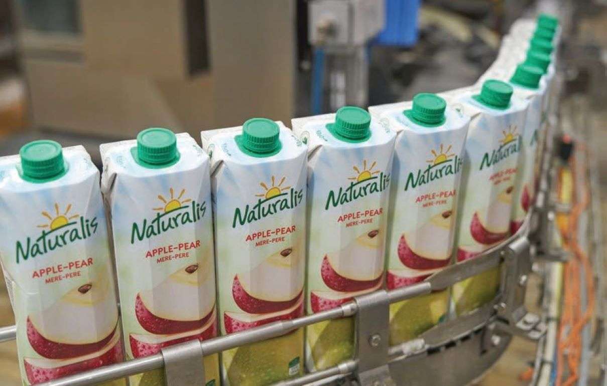 Orhei-Vit инвестировал 1 млн евро в оборудование и энергоэффективность - agroexpert.md