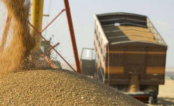 veriga vulnerabilă a cerealelor moldovenești în sezonul 2025/2026 transport - agroexpert.md