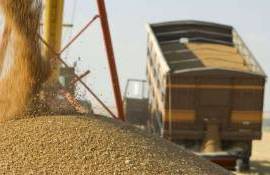 Transportul - veriga vulnerabilă a cerealelor moldovenești în sezonul 2025/2026