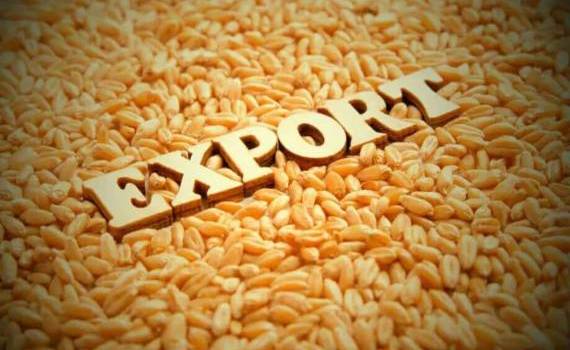 В 2024/25 МГ Украина на четверть сократила экспорт зерна - agroexpert.md