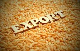 В 2024/25 МГ Украина на четверть сократила экспорт зерна - agroexpert.md