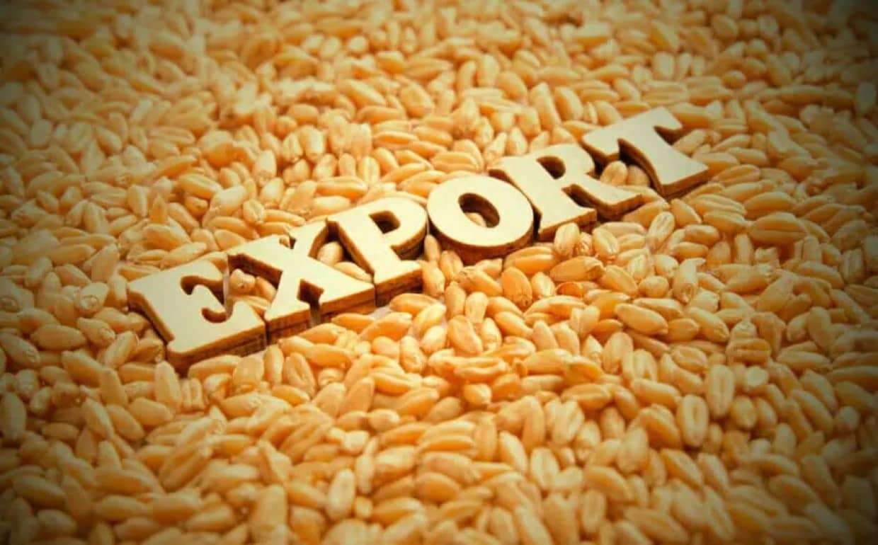В 2024/25 МГ Украина на четверть сократила экспорт зерна - agroexpert.md