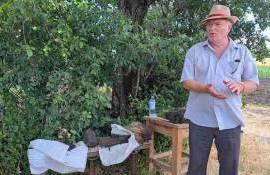 Specialiștii bat alarma: Agricultura intensivă amenință sănătatea solului