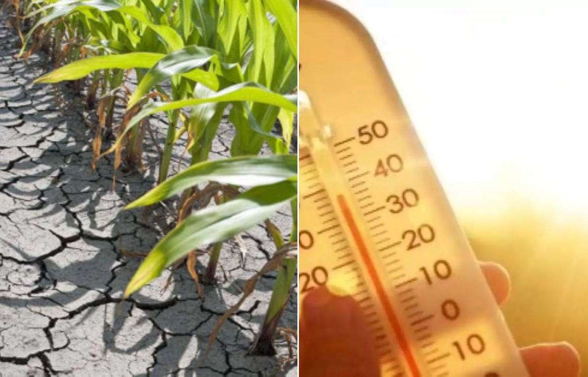 В Молдове 4 июля из-за жары объявлен жёлтый код метеоопасности - agroexpert.md