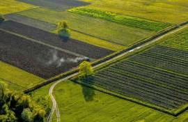 К концу 2025 года стоимость земли в Украине вырастет до 2200 долларов за гектар - agroexpert.md