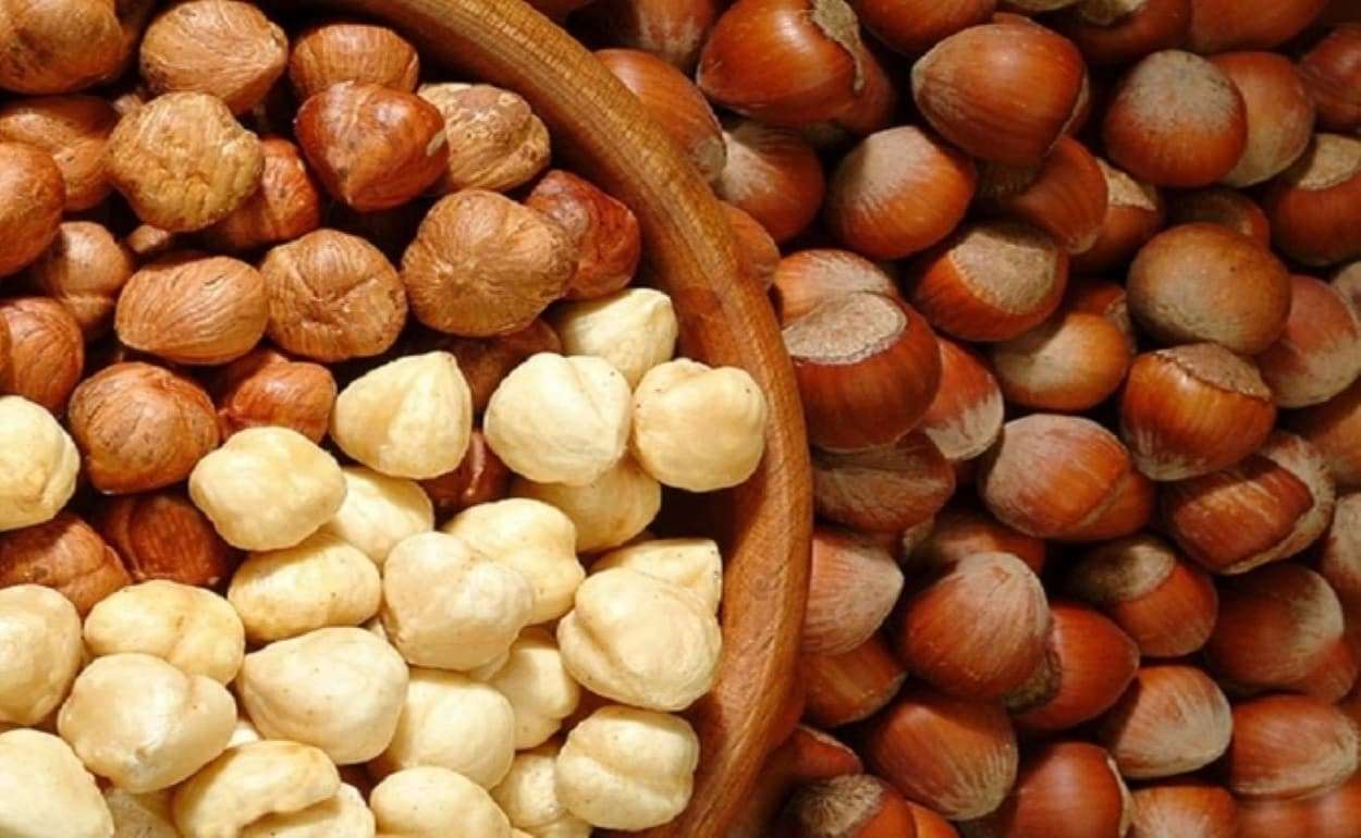 Заморозки в Турции привели к резкому росту цен на фундук - agroexpert.md