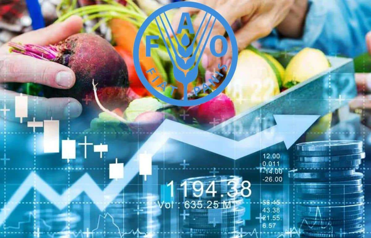 ФАО: Продовольствие в мире дорожает, мясо и молокопродукты бьют рекорды - agroexpert.md