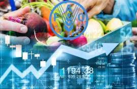 ФАО: Продовольствие в мире дорожает, мясо и молокопродукты бьют рекорды - agroexpert.md