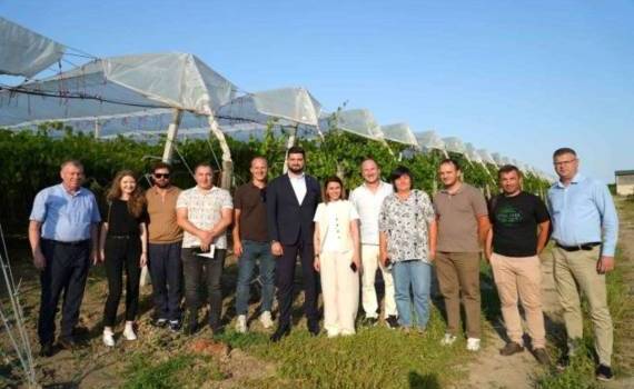 Молдавские аграрии требуют упростить правила импорта рабочей силы - agroexpert.md