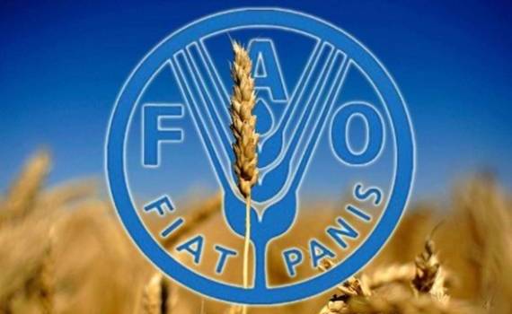 ФАО улучшило прогноз рекордного урожая зерна в мире - agroexpert.md