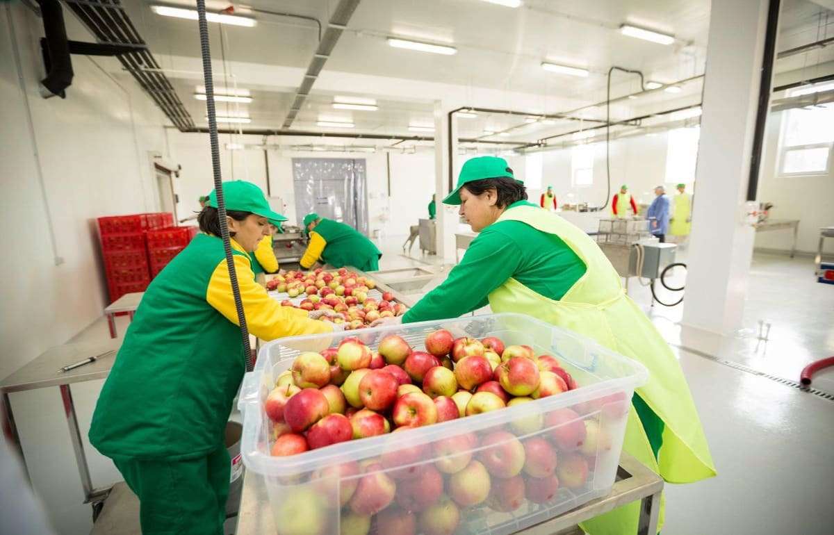 Фермеры смогут получить сертификат об освобождении от контроля качества - agroexpert.md