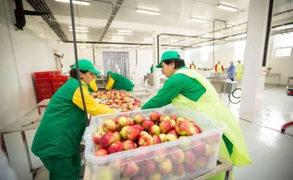 Фермеры смогут получить сертификат об освобождении от контроля качества - agroexpert.md