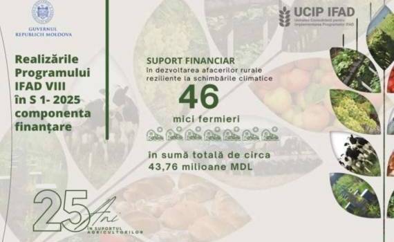 В 2025 году IFAD поддержал 46 сельхозпредприятий в Молдове - agroexpert.md