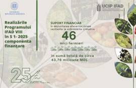 В 2025 году IFAD поддержал 46 сельхозпредприятий в Молдове - agroexpert.md