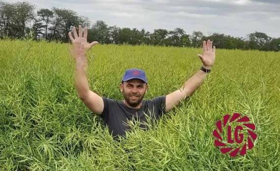 LIMAGRAIN: гибриды будущего, которые выбирают фермеры сегодня - agroexpert.md