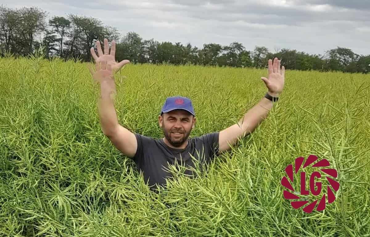 LIMAGRAIN: гибриды будущего, которые выбирают фермеры сегодня - agroexpert.md