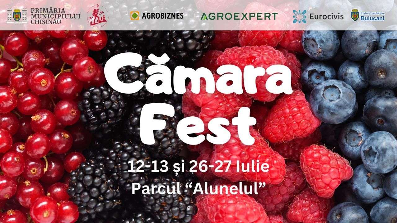 Afinele și murele - vedetele unei noi ediții Cămara Fest - agroexpert.md