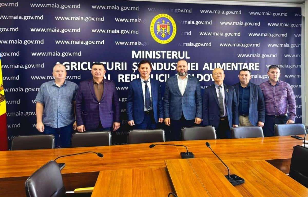 Южнокорейская компания вложит $16 млн в центр семенного картофеля в Молдове - agroexpert.md