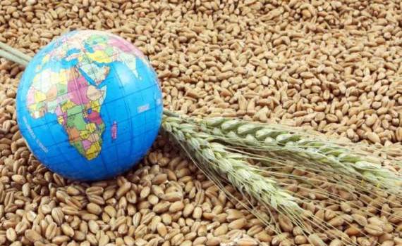 Мировой рынок зерна: в четверг пшеница и соя подорожали - agroexpert.md