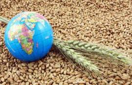 Мировой рынок зерна: в четверг пшеница и соя подорожали - agroexpert.md