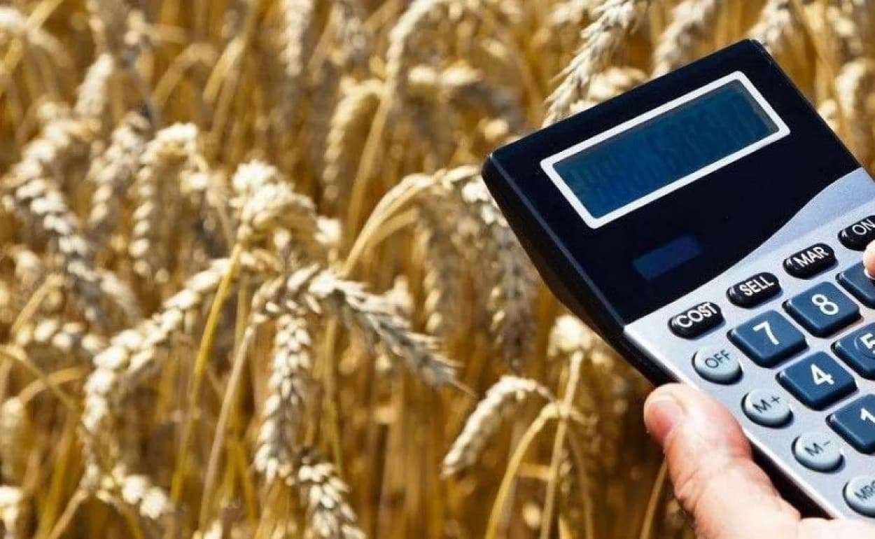AIPA одобрила выплаты субсидий аграриям на 28,7 млн леев за неделю - agroexpert.md