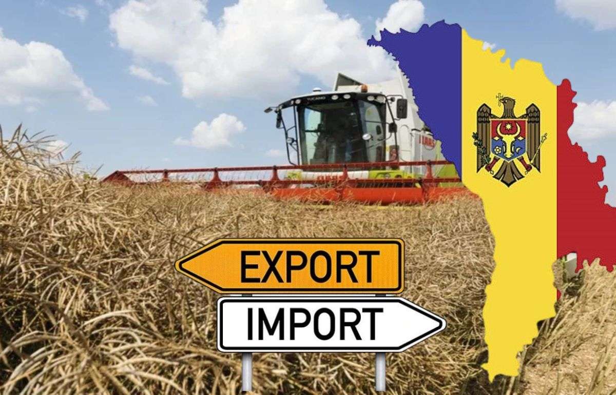 Динамика агропромышленного экспорта Республики Молдова в июне 2025 года - agroexpert.md
