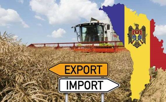 Динамика агропромышленного экспорта Республики Молдова в июне 2025 года - agroexpert.md