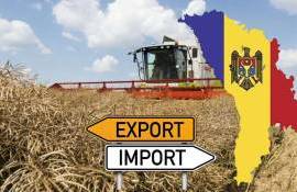 Динамика агропромышленного экспорта Республики Молдова в июне 2025 года - agroexpert.md